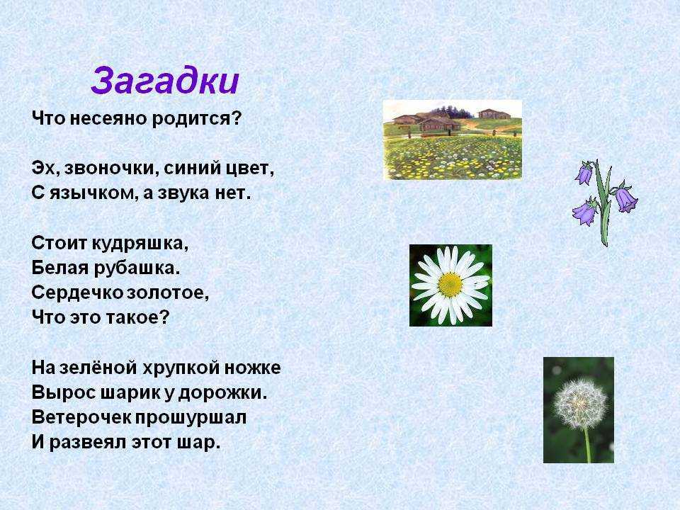 Загадки о растениях для 3 класса с ответами. окружающий мир