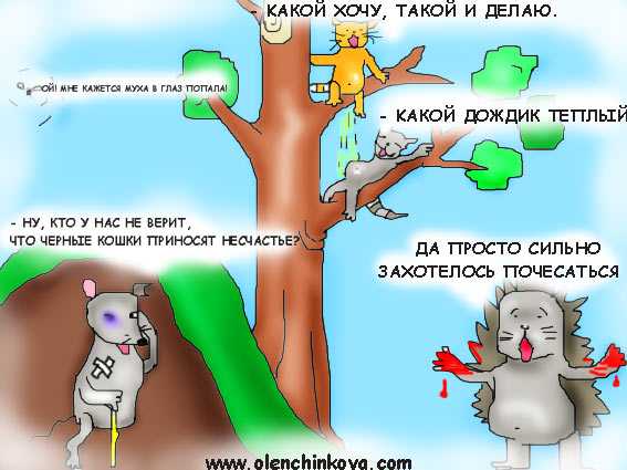 Шутки про зверей для взрослых. анекдоты про животных самые смешные