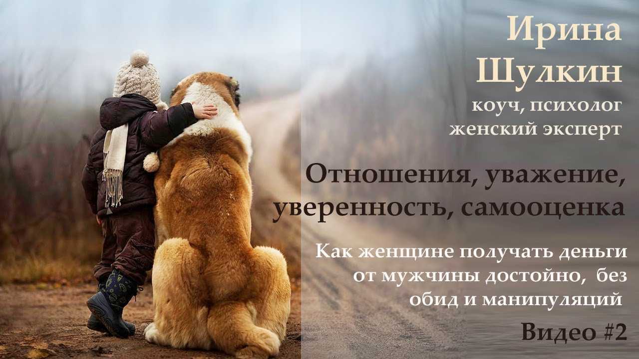 Цитаты и афоризмы про собак. собака – друг человека
