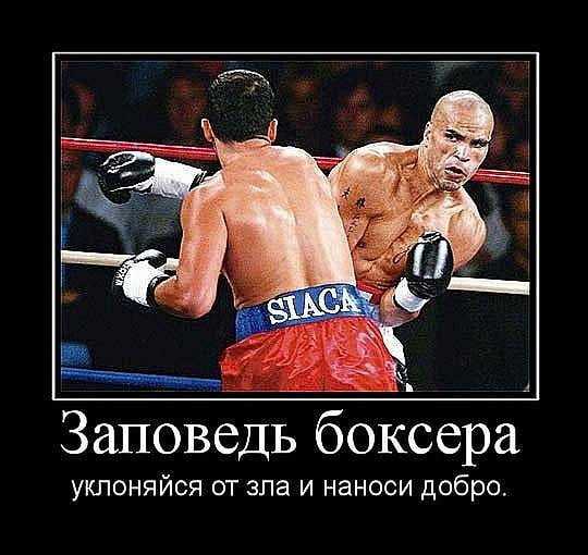 Статусы про бокс