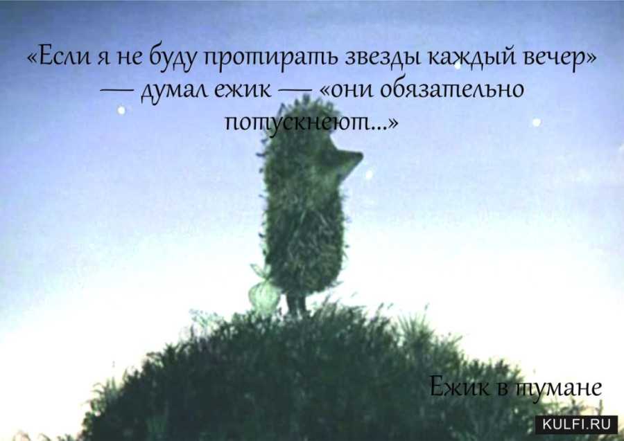 Выражения из мультфильма ежик в тумане. "ежик в тумане" - цитаты, что стали легендой
