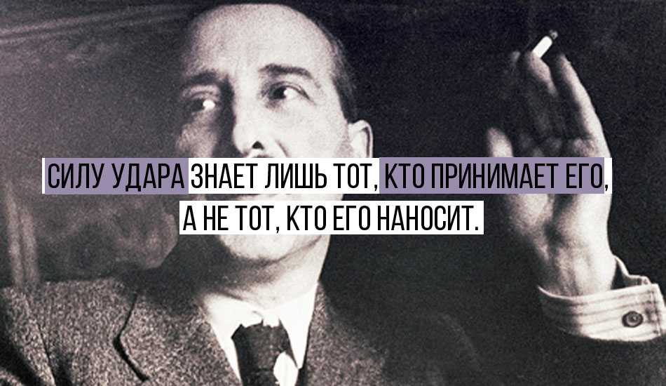 Стефан цвейг - афоризмы, цитаты, высказывания