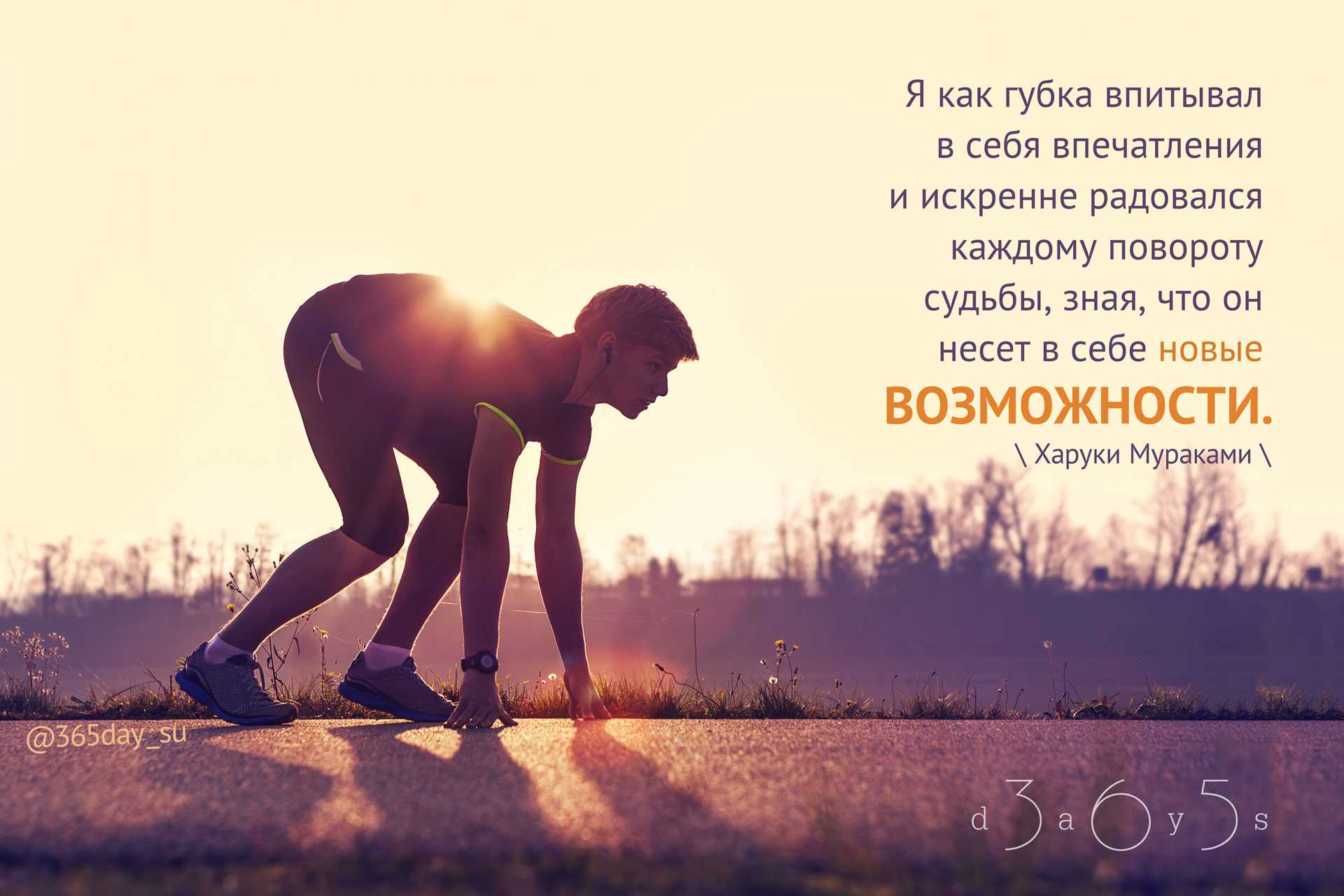 Афоризмы. сборник афоризмов по категориям и темам.