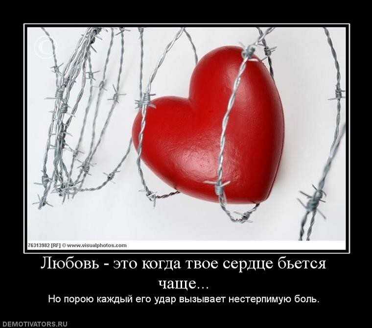 Цитаты о любви из книг