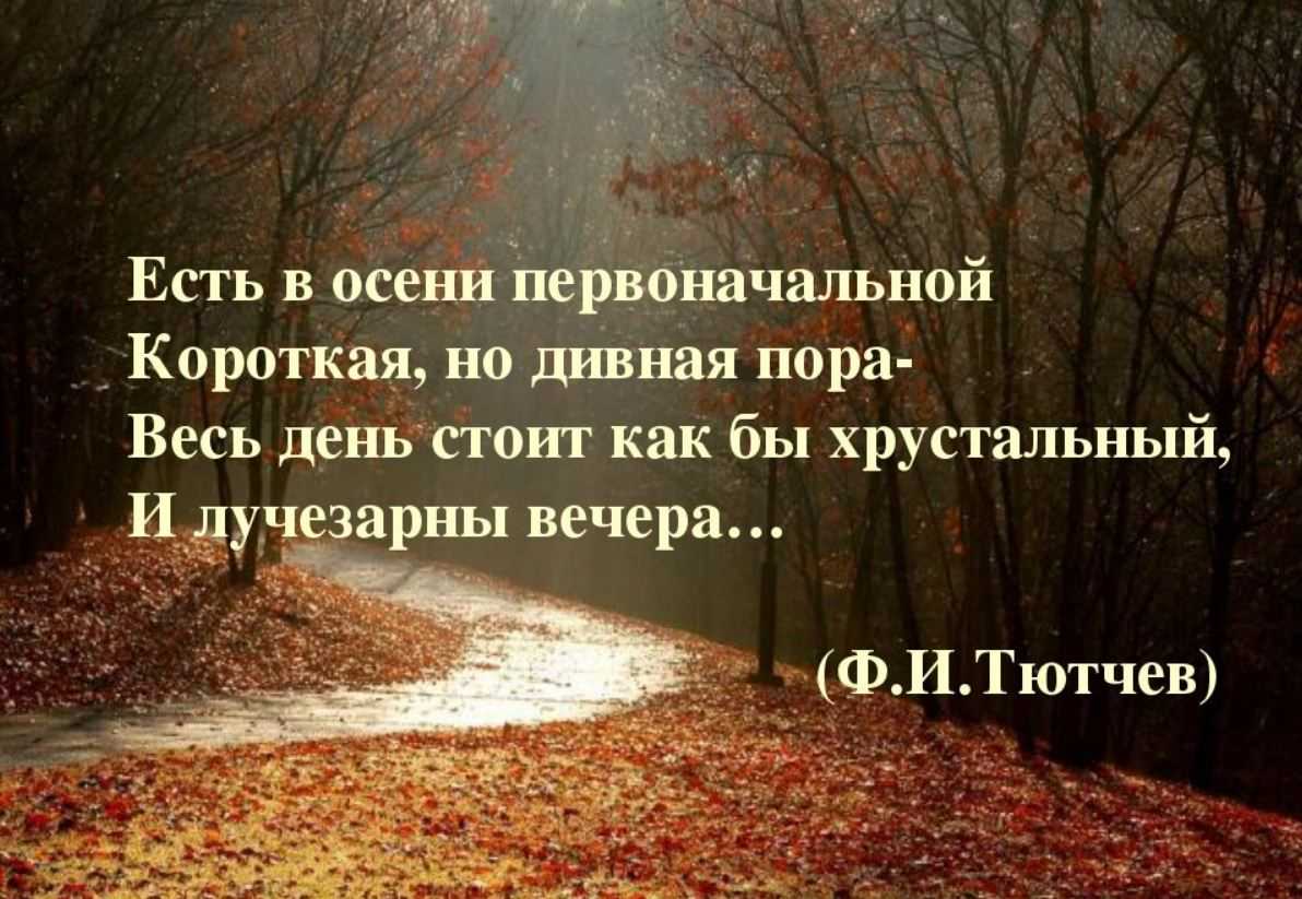 Моя душа настроена на осень… об осени в цитатах и афоризмах