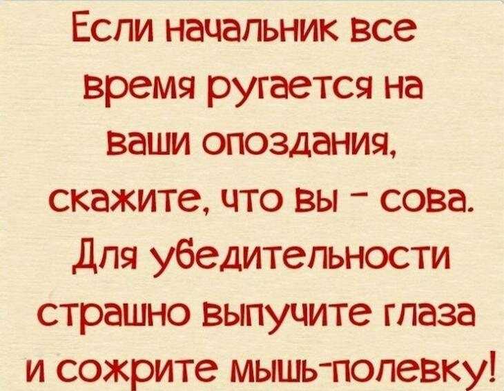 Шутка про работу без выходных