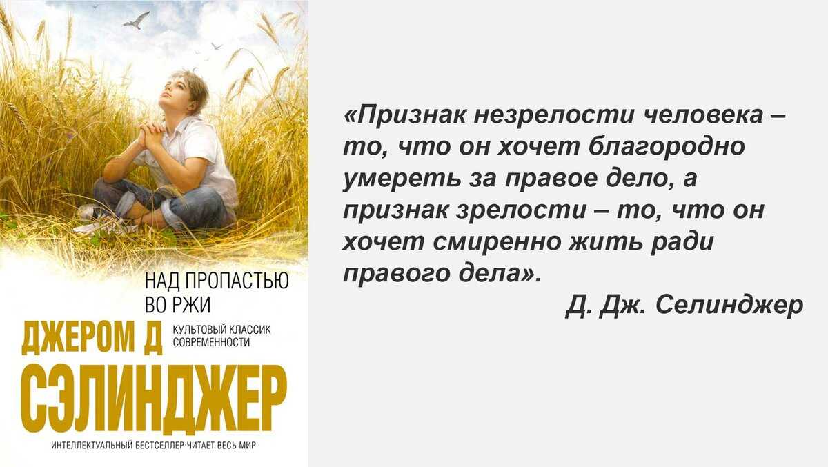 Отзывы о книга "над пропастью во ржи" джером дэвид сэлинджер