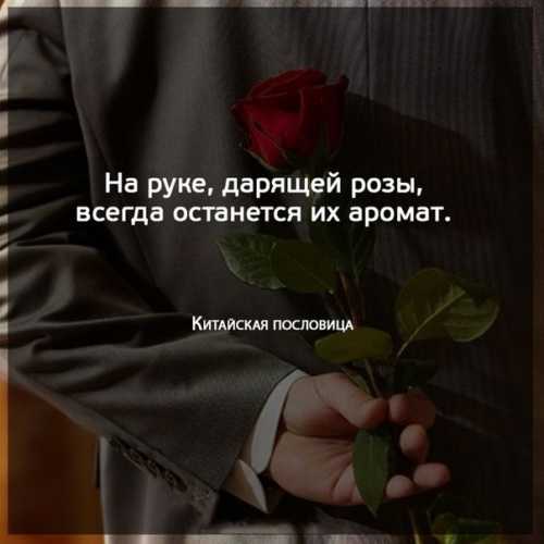 100 красивых и грустных цитат о любви со смыслом