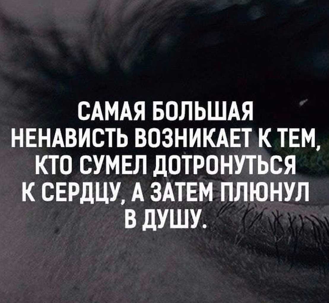 50 лучших цитат со всего мира для жизни со смыслом