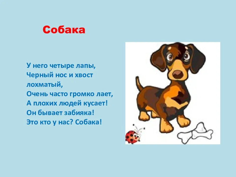 Веселые стихи про собак — подборка стихотворений