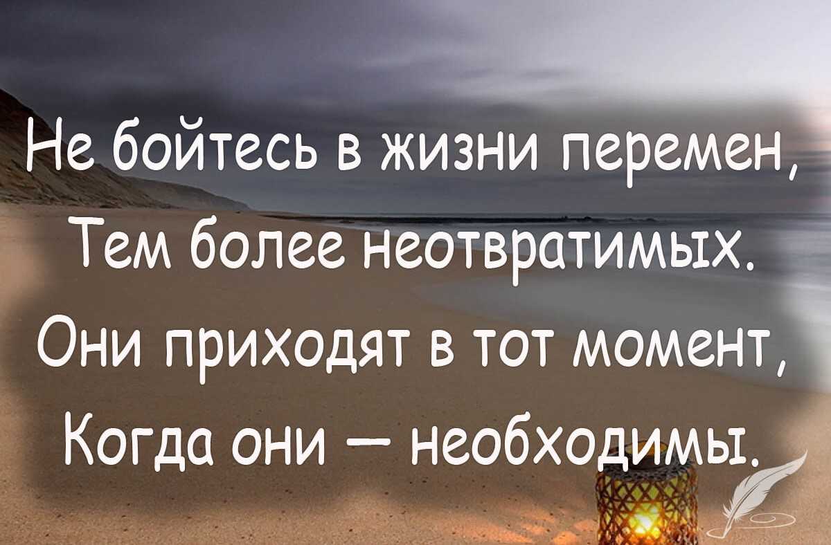 Цитаты про книги и чтение: 50 лучших