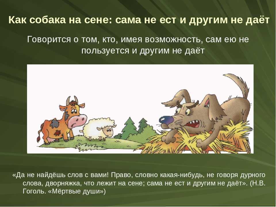 Лопе де вега собака на сене цитаты героев