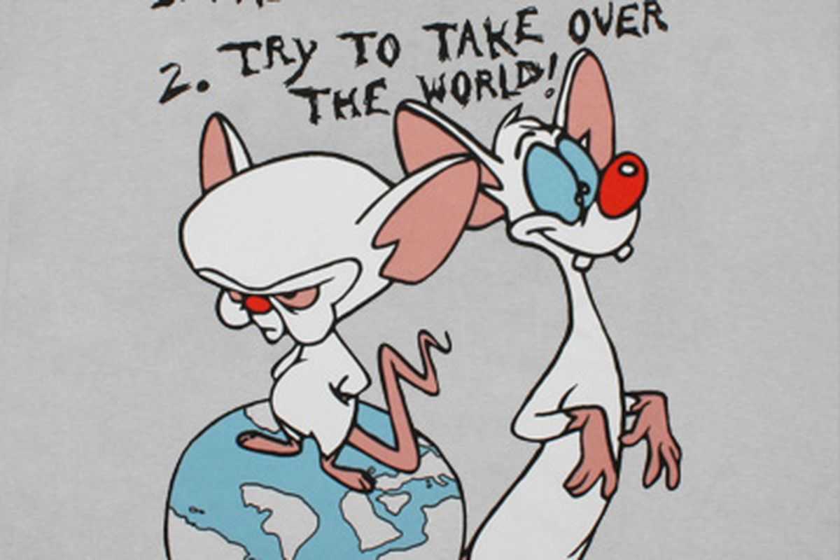 Pinky and the brain