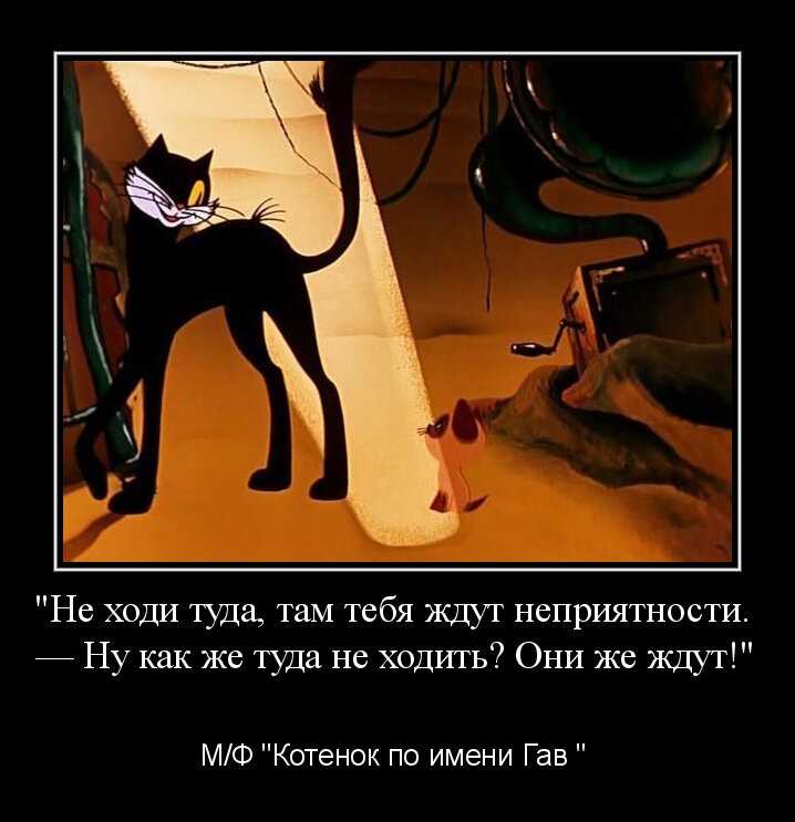Цитаты котенок по имени