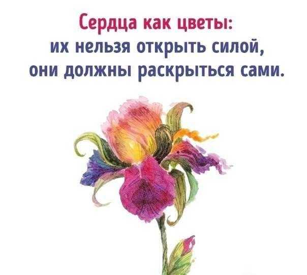 Красота спасет мир… цитаты и афоризмы о красоте