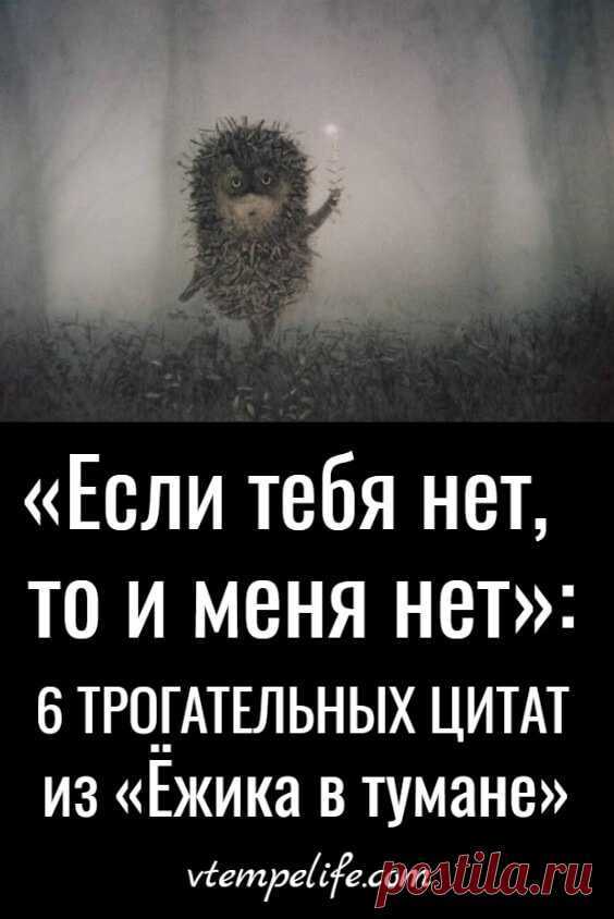 «ежик в тумане»: любимые фразы и некоторые детали легендарного мульфильма