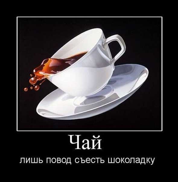 Чай: красивые цитаты, фразы и выражения