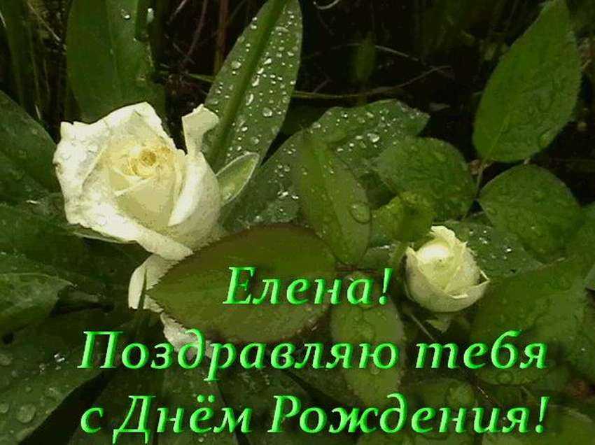 Поздравления и открытки для имени елена
