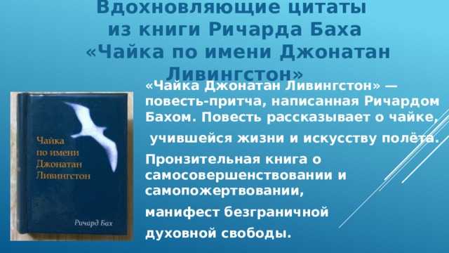 Смысл повести-притчи "чайка по имени джонатан ливингстон" | какой смысл