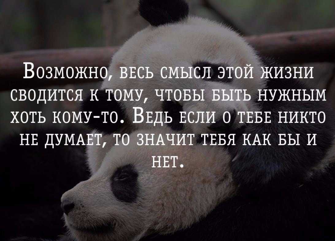 22 цитат про смысл жизни - мозаика жизни