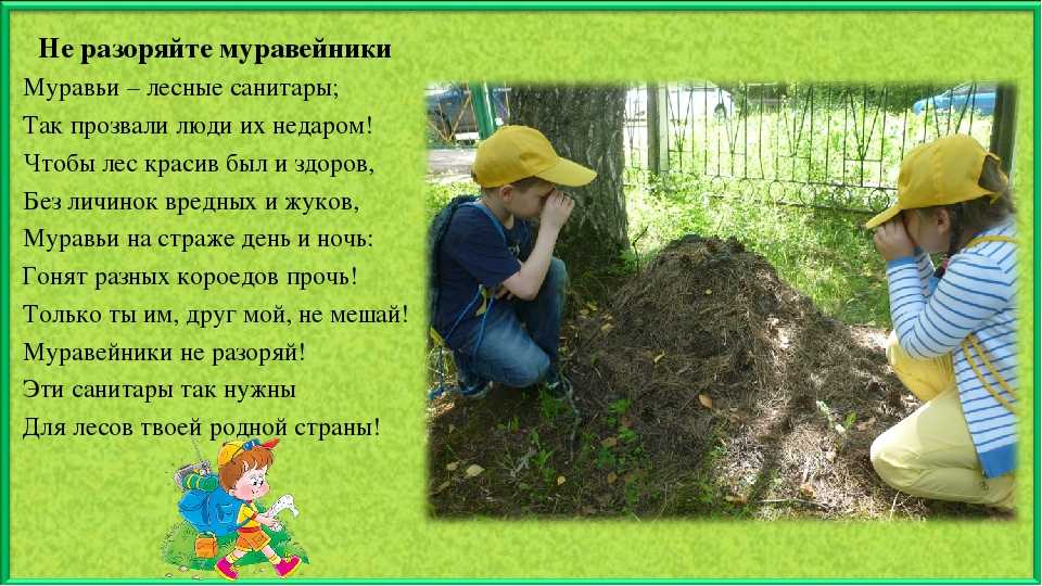 Стихи про экологию | antrio.ru