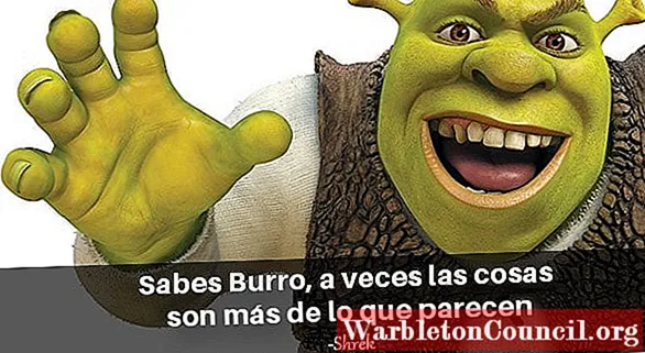 Цитата из мультфильма Шрек 2 Shrek 2