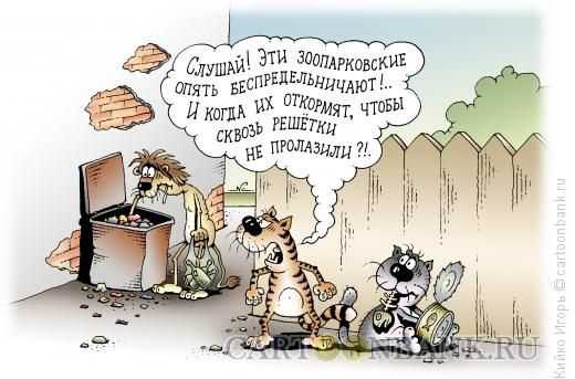 Анекдоты про животных и зверей