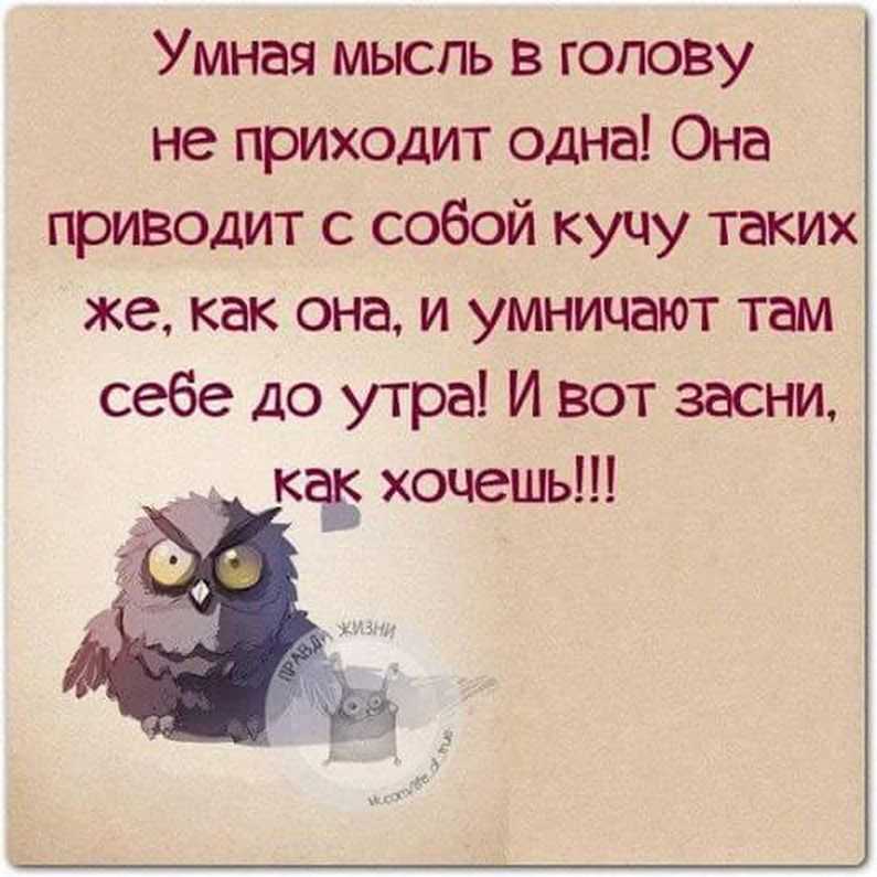 Смешные высказывания о жизни для поднятия настроения