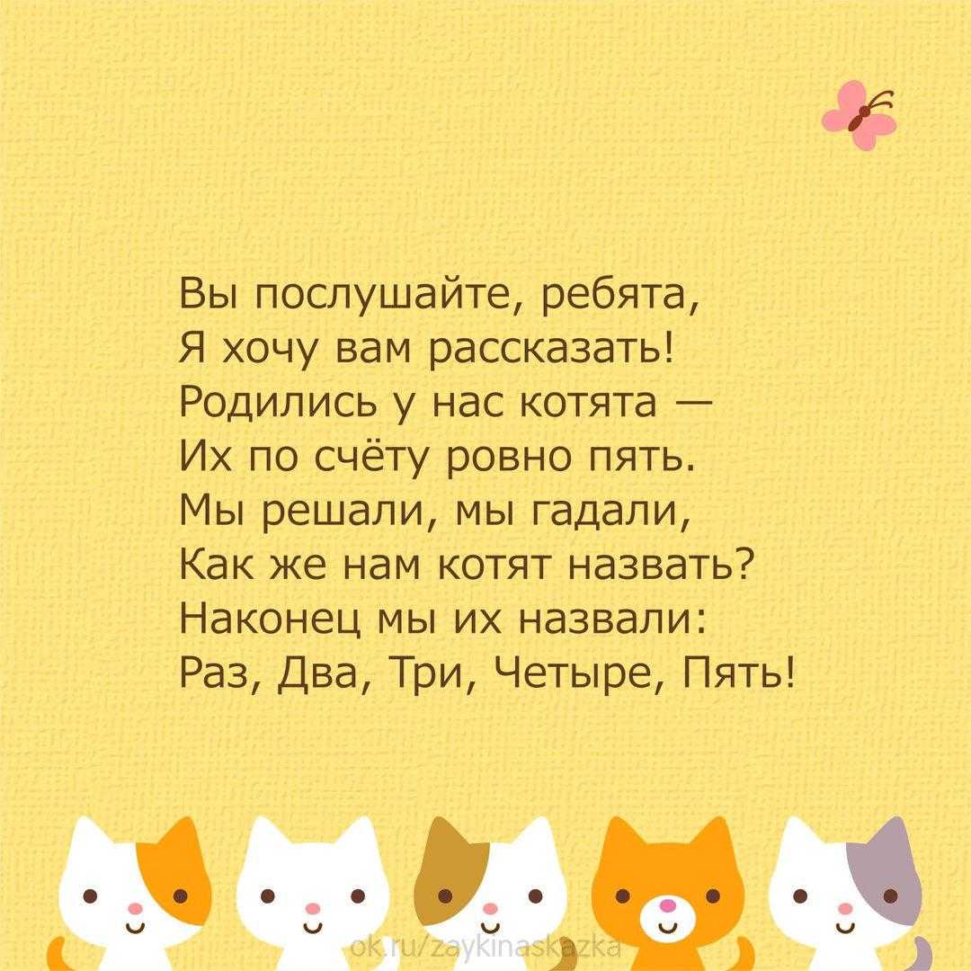 Прикольные стихи про котов — шутки юмора