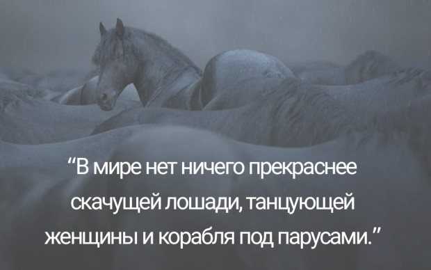 Лучшие цитаты про жизнь со смыслом: 100+ лучших цитат