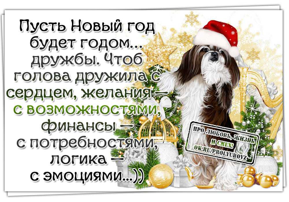 Статусы про новый год