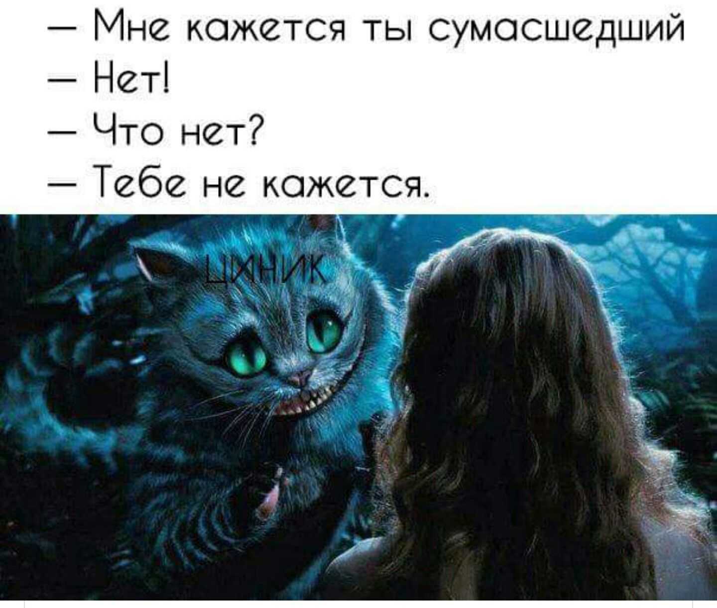 80+ цитат из алисы в стране чудес, которые вам понравятся