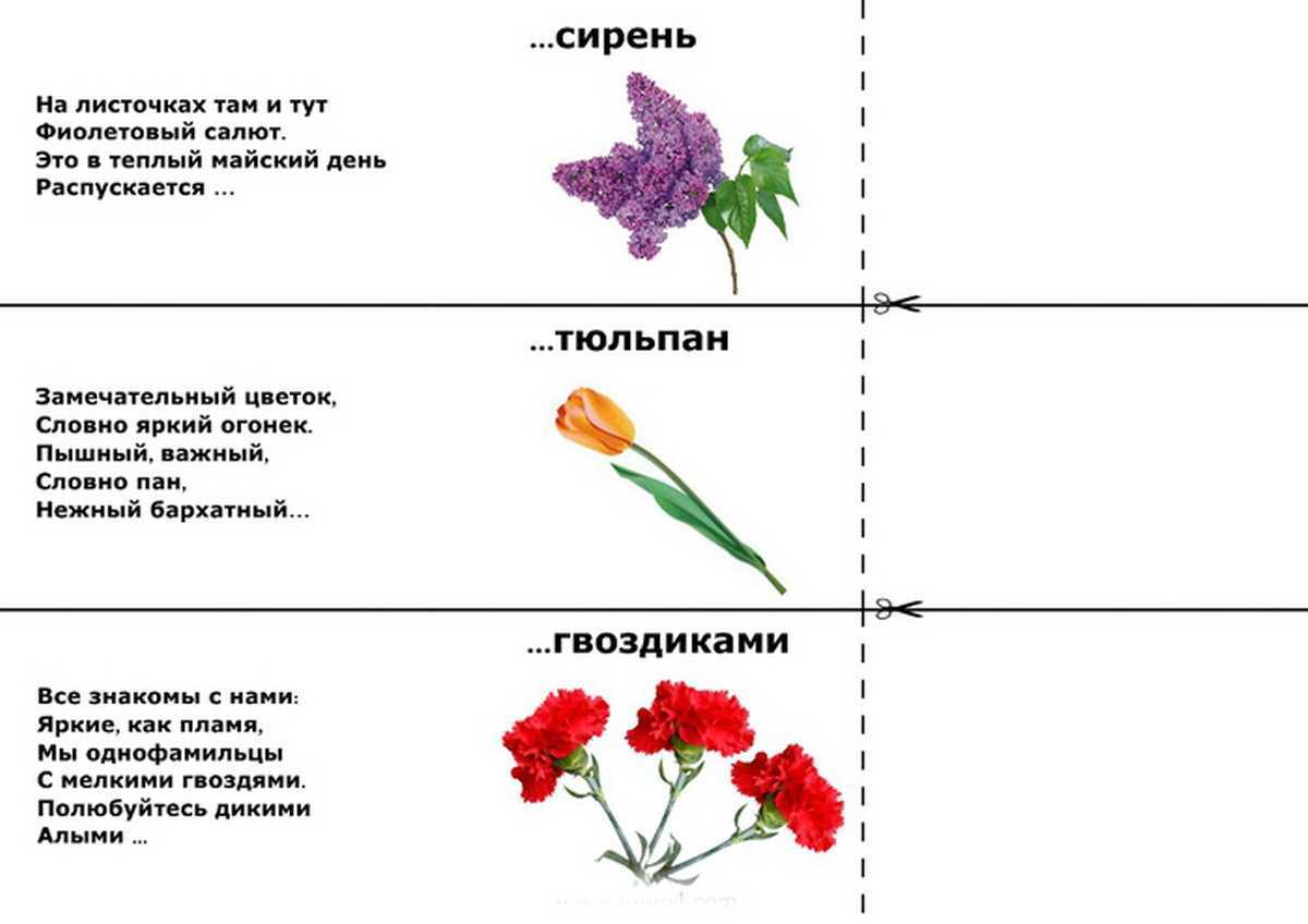 Загадки про растения для детей: с картинками в ответах