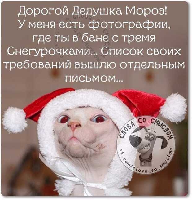 Сказочные статусы о январе