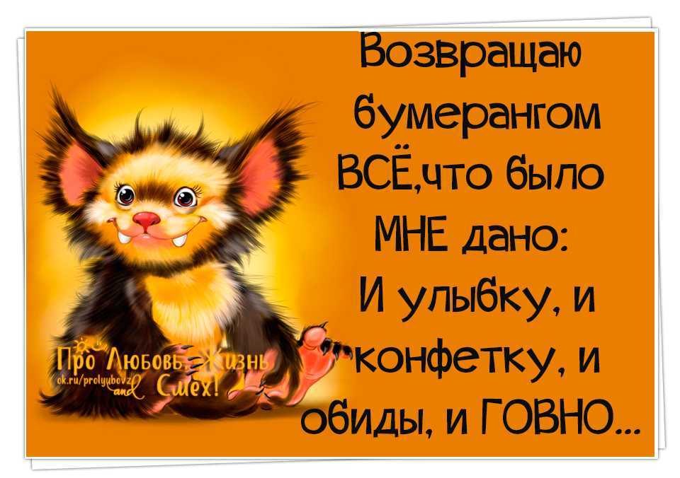 50 лучших цитат со всего мира для жизни со смыслом
