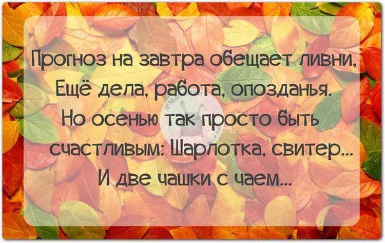Шутки про осень для школьников