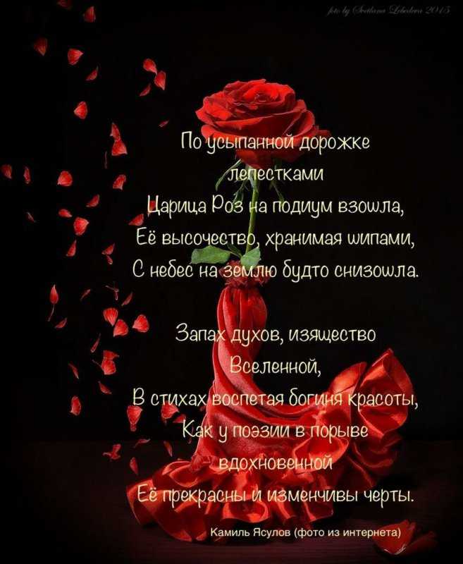 Красивые статусы про цветы – со смыслом, прикольные