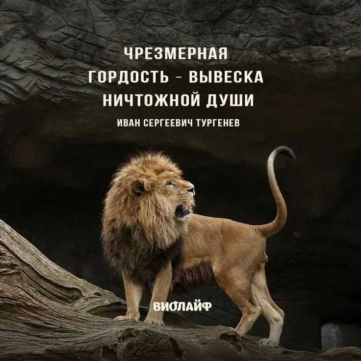 50 лучших цитат со всего мира для жизни