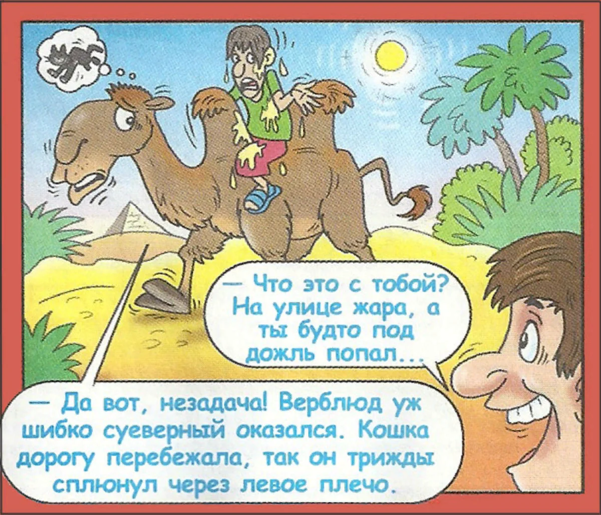 Самые лучшие смешные анекдоты про животных.