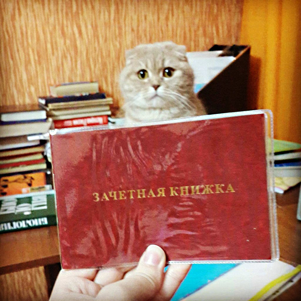 Статусы про учебу
