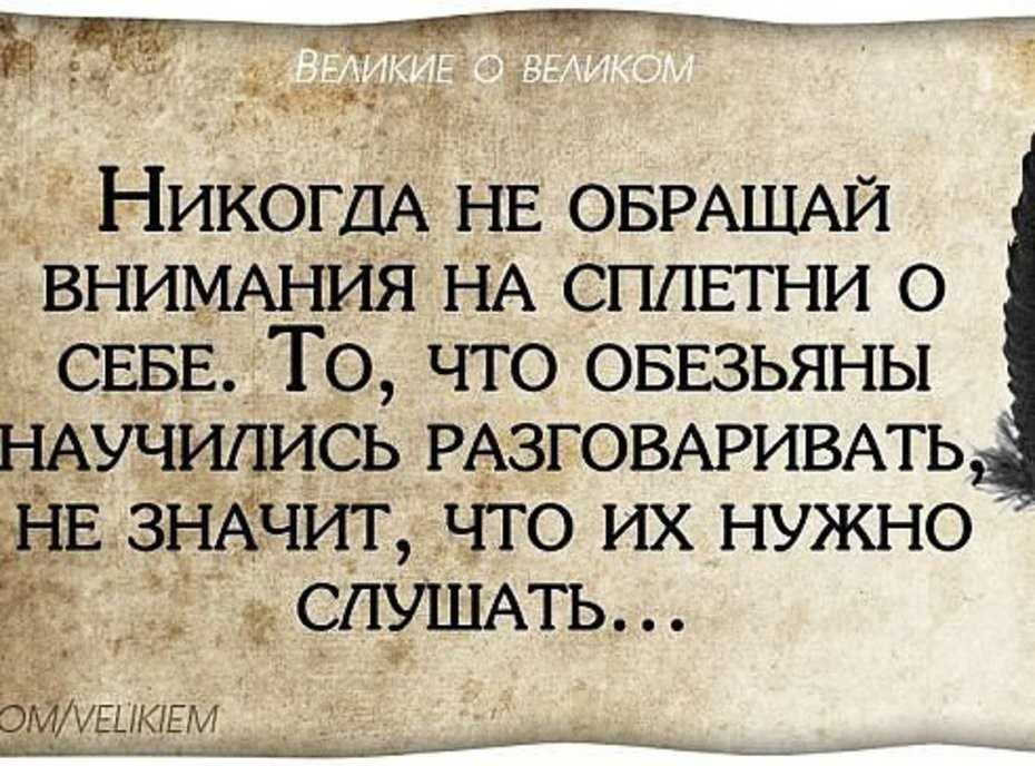 Про цитаты, контент, критику и литературу.
