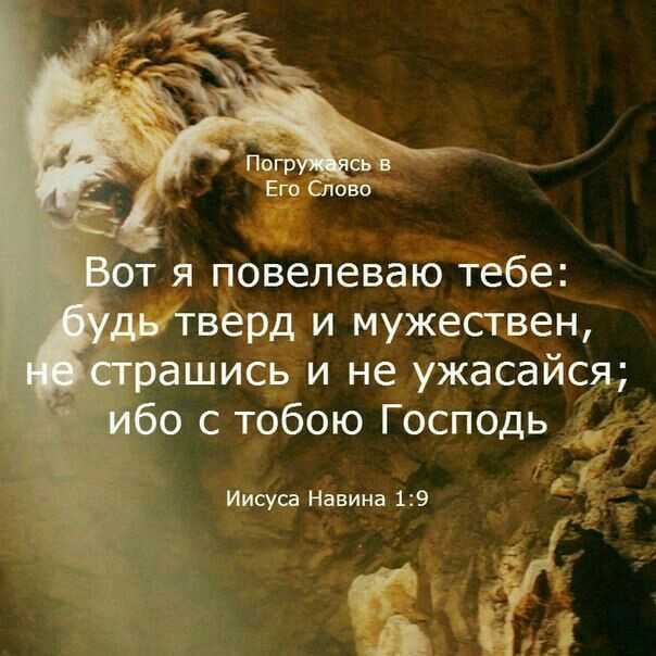 Цитаты из библии (biblequote) — электронная версия
