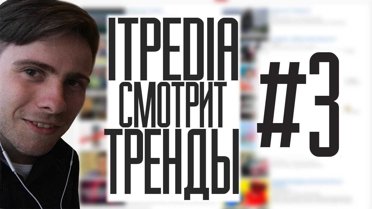 Алексей Шевцов itpedia - цитата