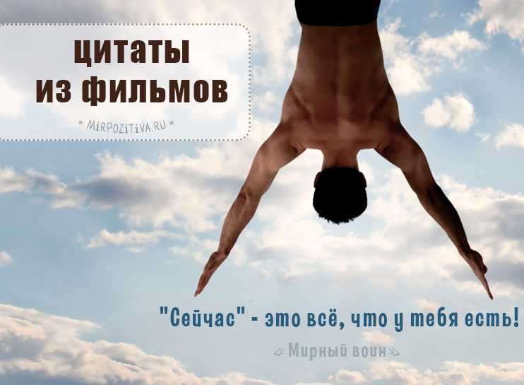 5 правил жизни из фильма «мирный воин». верны ли они?