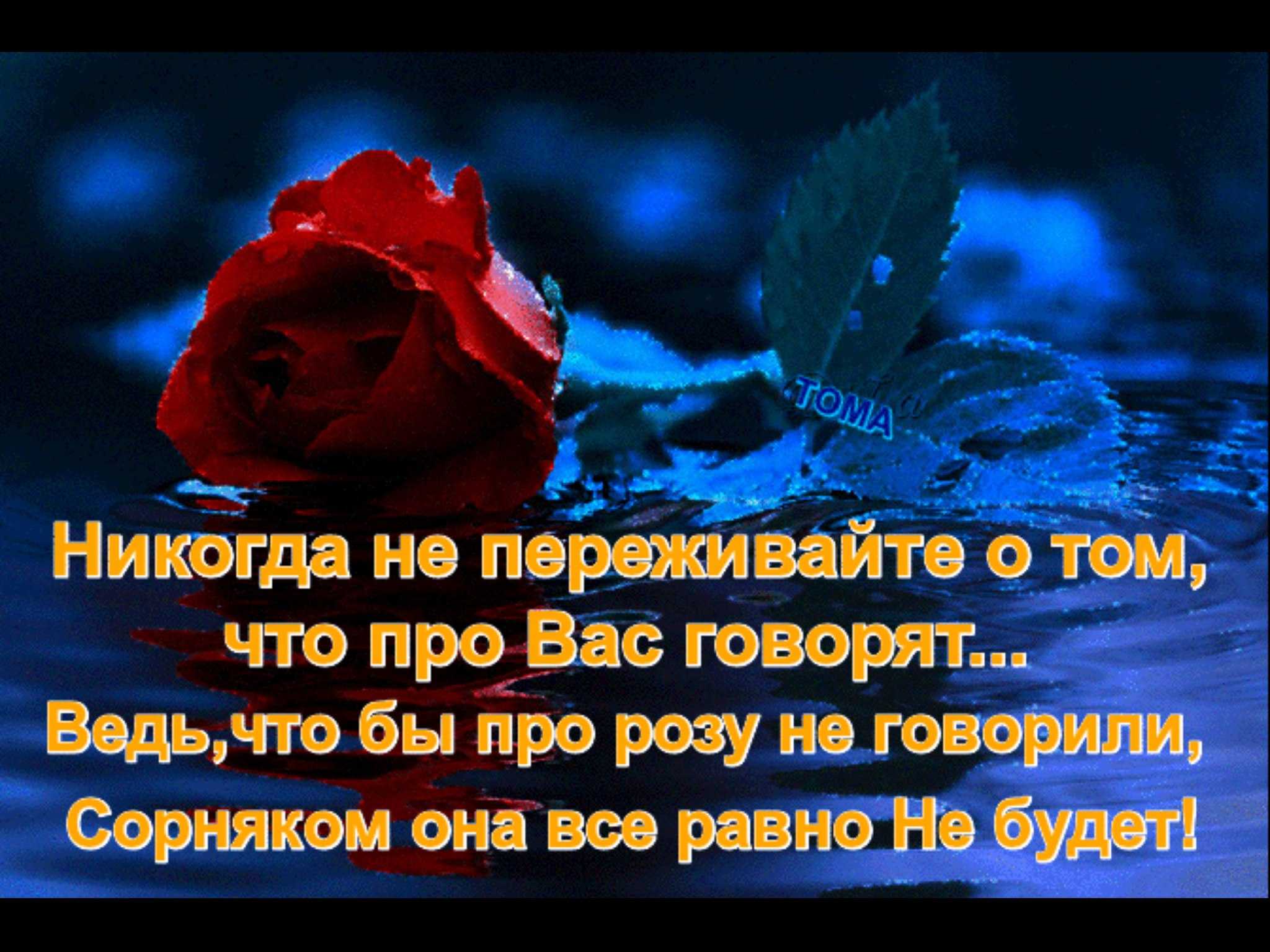 Статусы про цветы девушкам